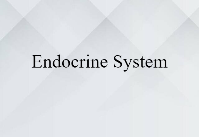 endocrine system