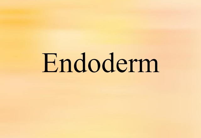 Endoderm (noun) Definition, Meaning & Examples