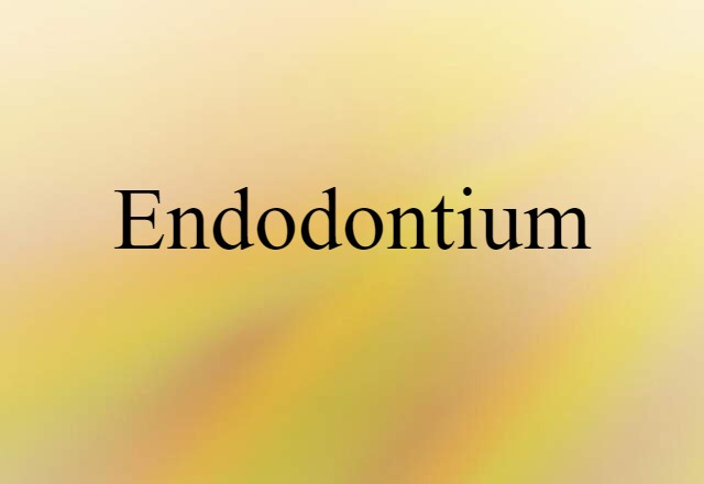 Endodontium (noun) Definition, Meaning & Examples