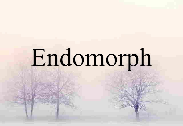 Endomorph (noun) Definition, Meaning & Examples