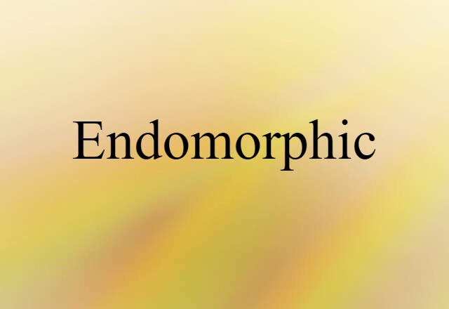 Endomorphic (noun) Definition, Meaning & Examples