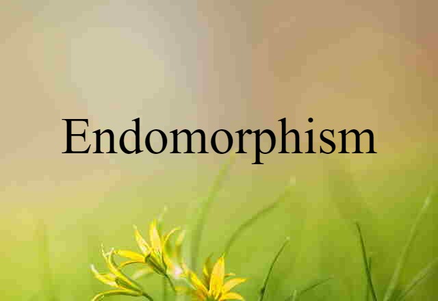 Endomorphism (noun) Definition, Meaning & Examples