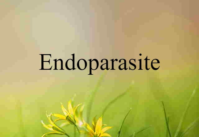 Endoparasite (noun) Definition, Meaning & Examples