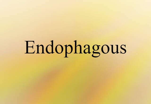 Endophagous (noun) Definition, Meaning & Examples