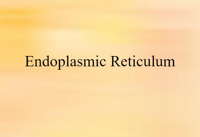 endoplasmic reticulum