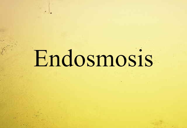 Endosmosis (noun) Definition, Meaning & Examples