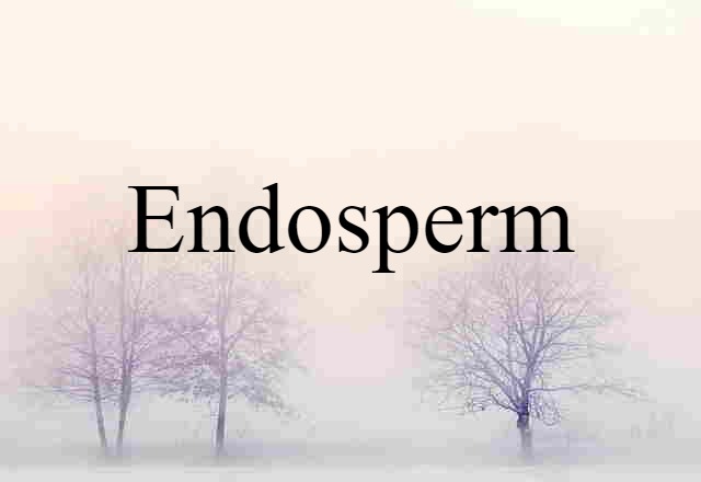 endosperm