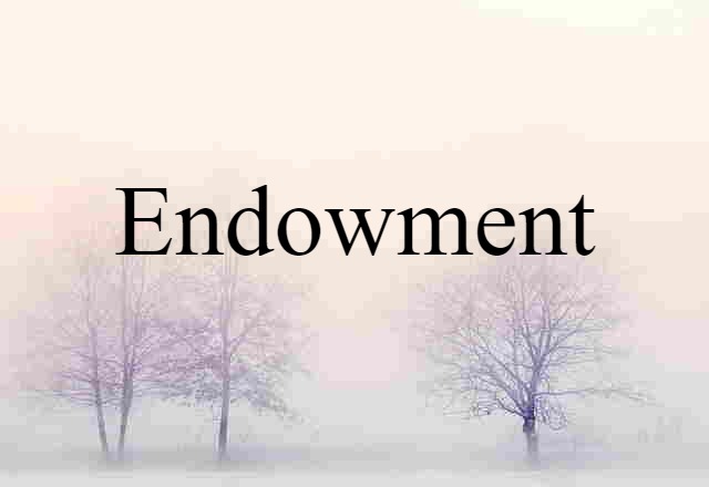 Endowment (noun) Definition, Meaning & Examples