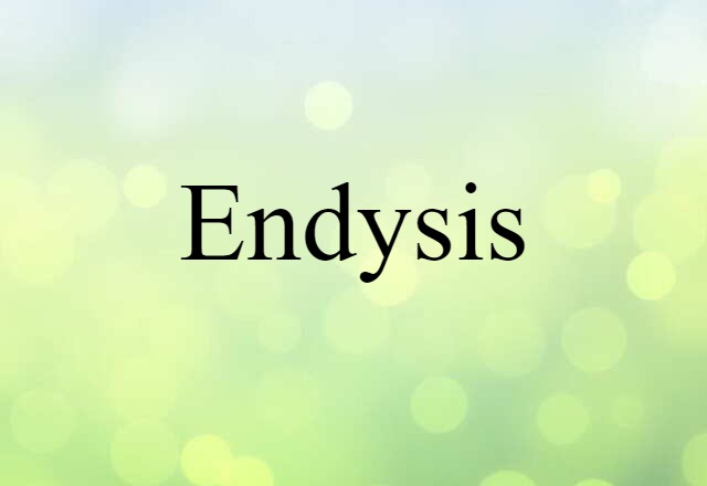 Endysis (noun) Definition, Meaning & Examples