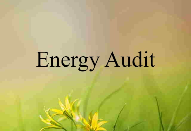 energy audit