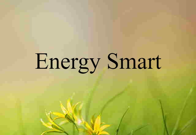 energy smart