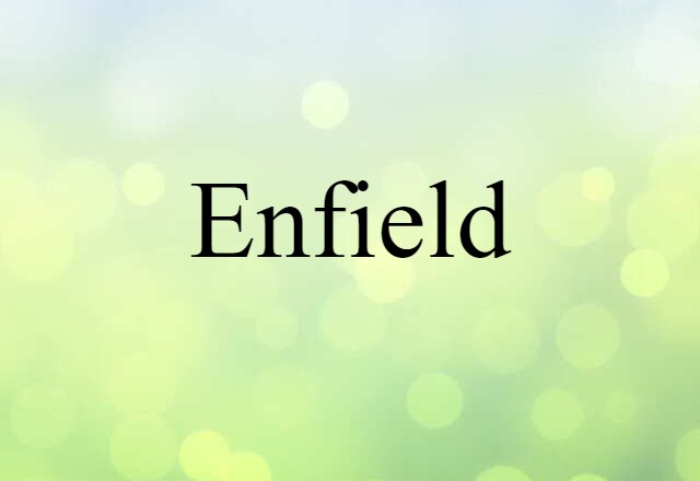 Enfield (noun) Definition, Meaning & Examples