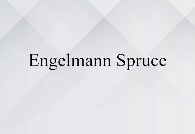 Engelmann spruce