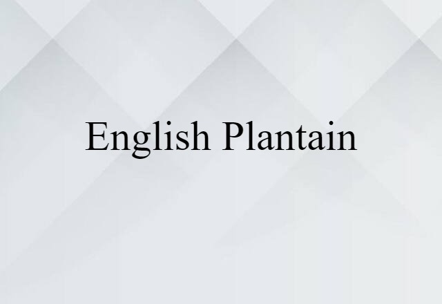 English Plantain (noun) Definition, Meaning & Examples