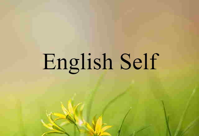 English Self (noun) Definition, Meaning & Examples