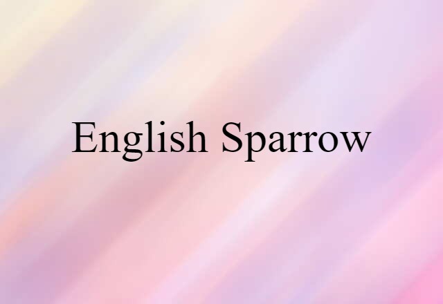 English Sparrow (noun) Definition, Meaning & Examples