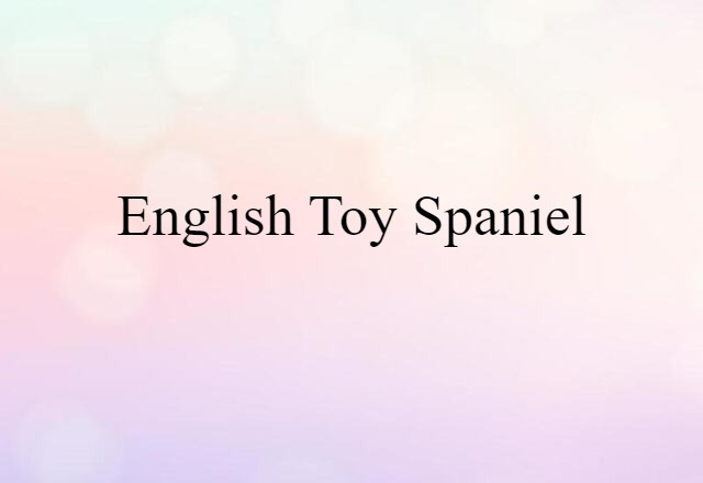 English Toy Spaniel (noun) Definition, Meaning & Examples