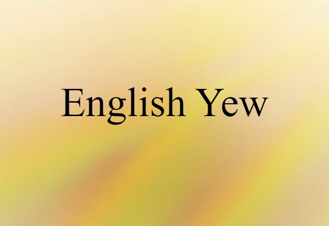 English Yew (noun) Definition, Meaning & Examples