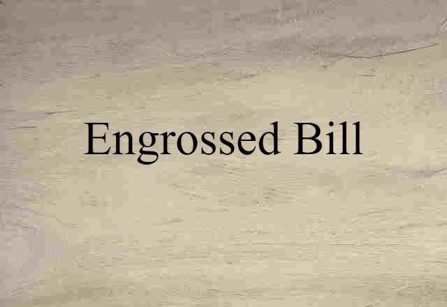 Engrossed Bill (noun) Definition, Meaning & Examples