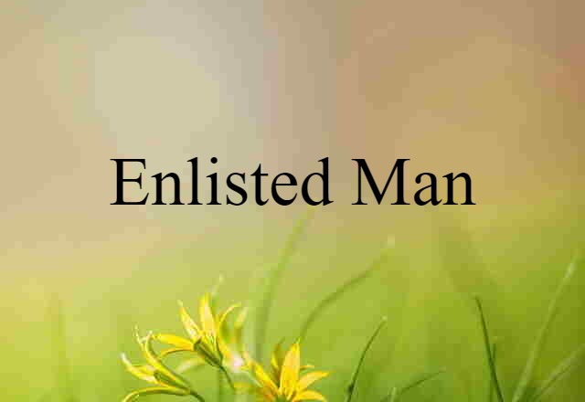 Enlisted Man (noun) Definition, Meaning & Examples