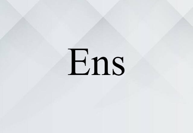 Ens (noun) Definition, Meaning & Examples