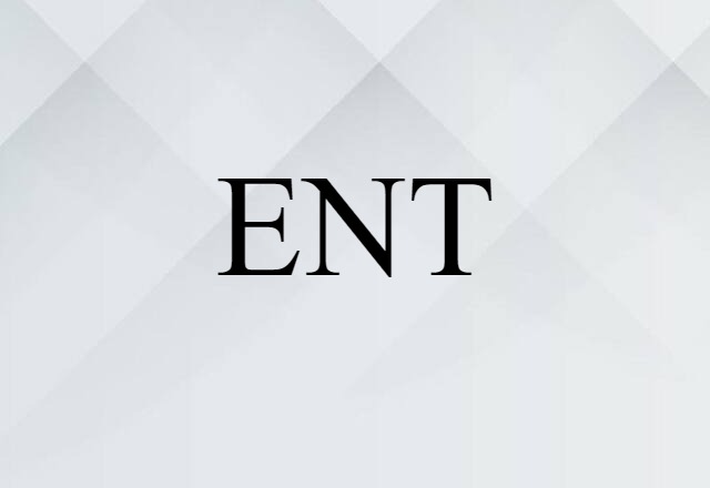 ENT (noun) Definition, Meaning & Examples