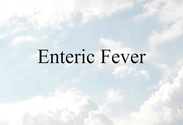 Enteric Fever (noun) Definition, Meaning & Examples