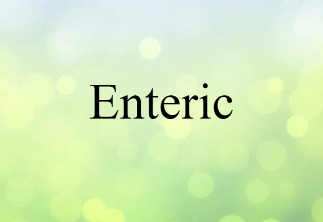 Enteric (noun) Definition, Meaning & Examples