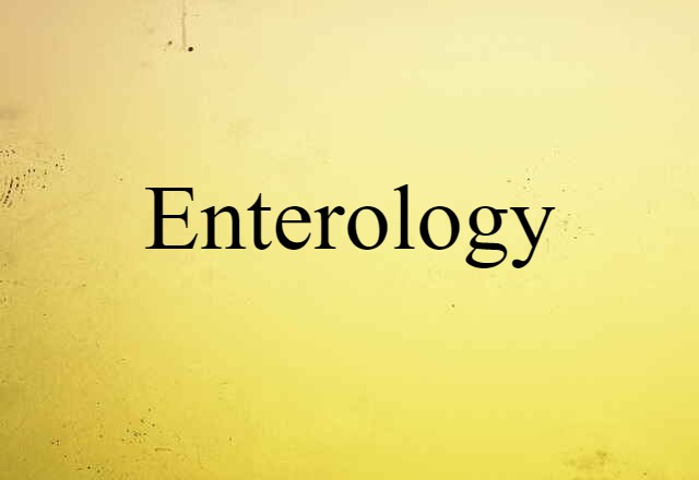 Enterology (noun) Definition, Meaning & Examples