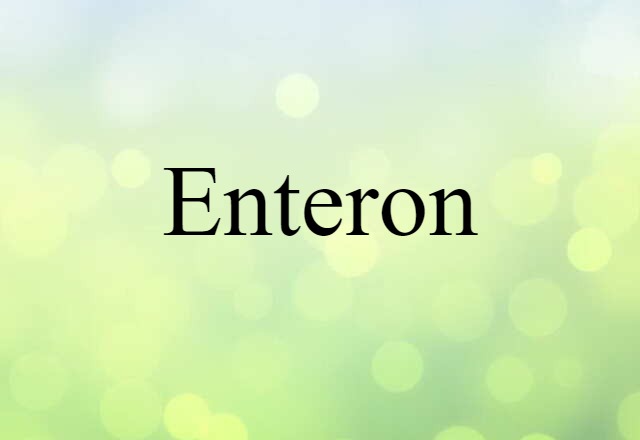 enteron