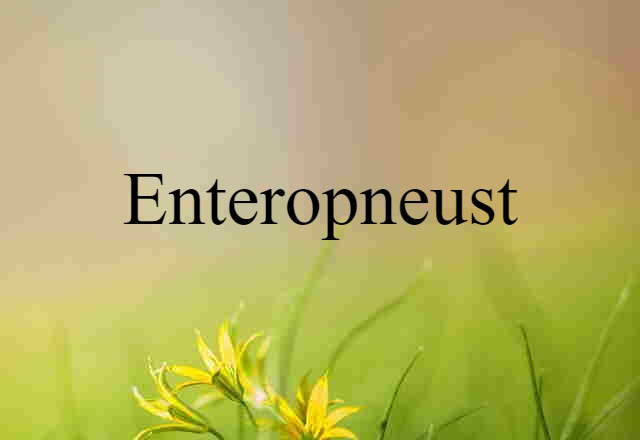 Enteropneust (noun) Definition, Meaning & Examples