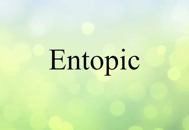 Entopic (noun) Definition, Meaning & Examples