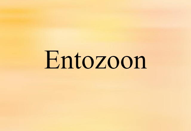 Entozoon (noun) Definition, Meaning & Examples