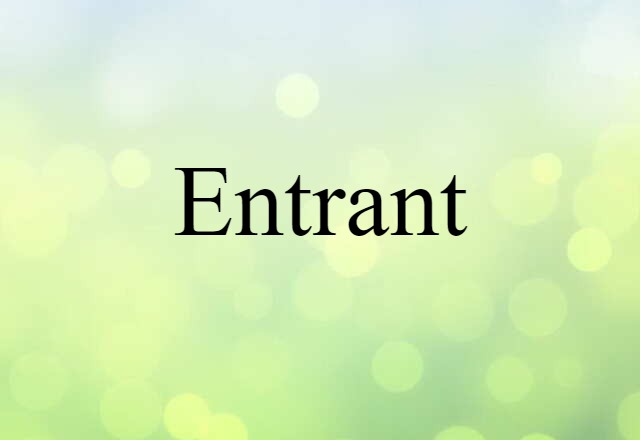 Entrant (noun) Definition, Meaning & Examples