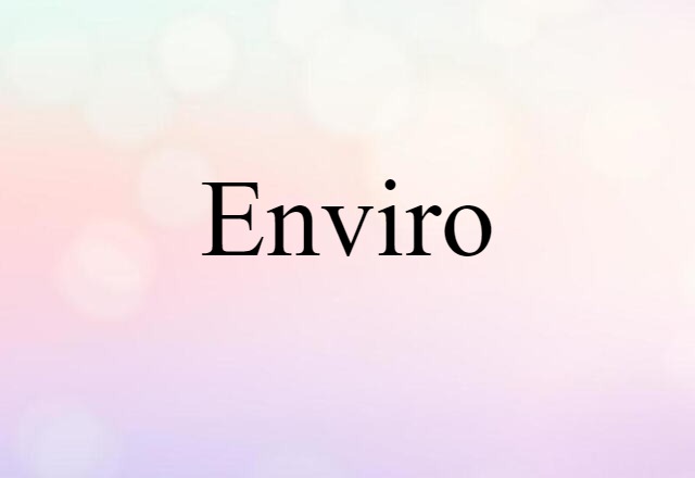 Enviro (noun) Definition, Meaning & Examples