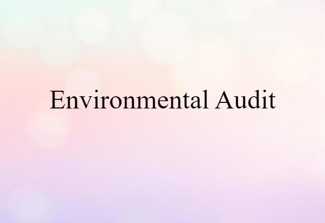 environmental audit