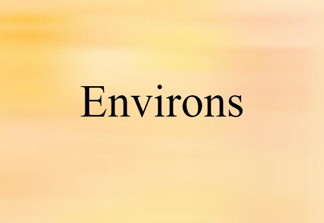 Environs (noun) Definition, Meaning & Examples