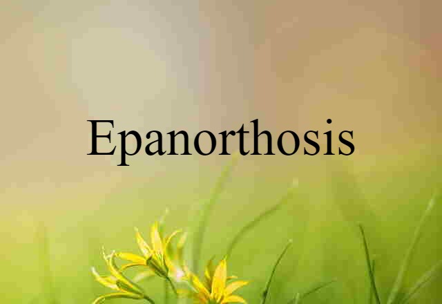 Epanorthosis (noun) Definition, Meaning & Examples