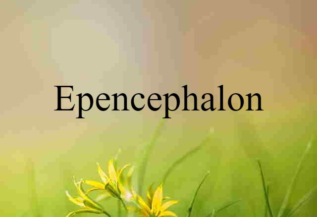 epencephalon