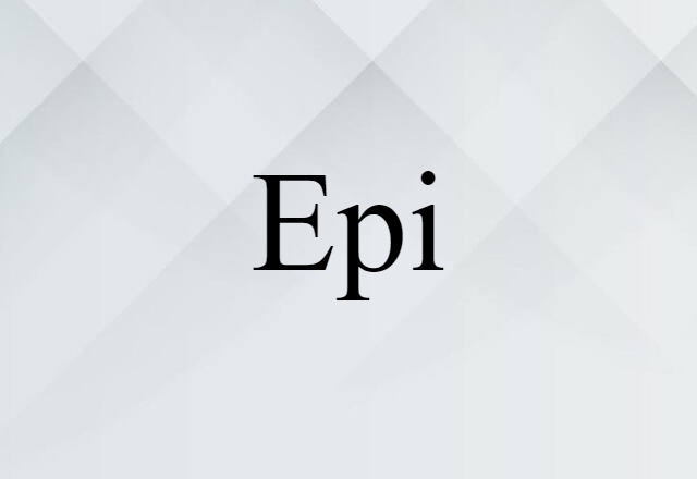 Epi (noun) Definition, Meaning & Examples