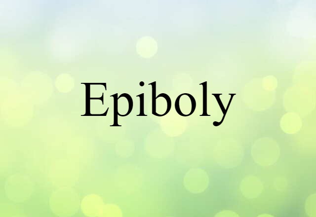 Epiboly (noun) Definition, Meaning & Examples