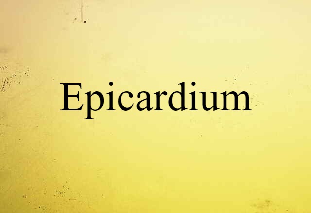 Epicardium (noun) Definition, Meaning & Examples