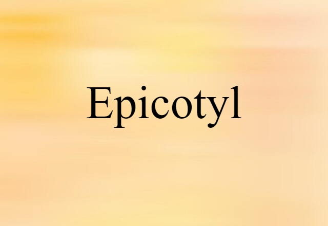 Epicotyl (noun) Definition, Meaning & Examples