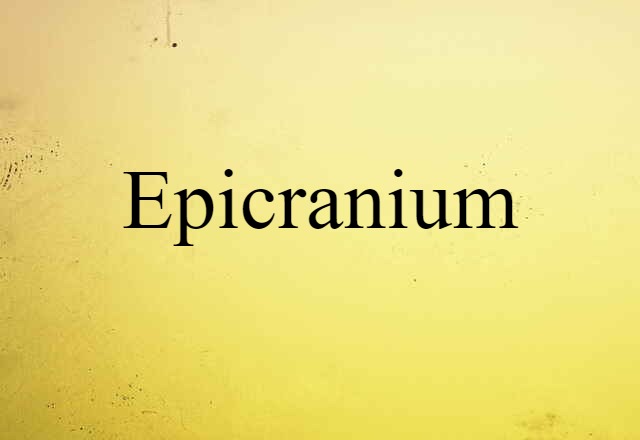 Epicranium (noun) Definition, Meaning & Examples