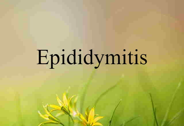 epididymitis