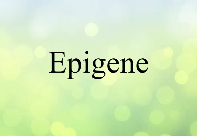 Epigene (noun) Definition, Meaning & Examples