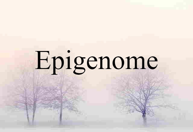 Epigenome (noun) Definition, Meaning & Examples