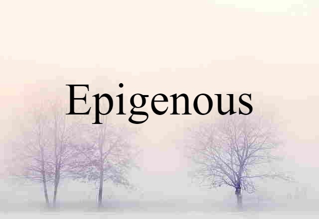 Epigenous (noun) Definition, Meaning & Examples