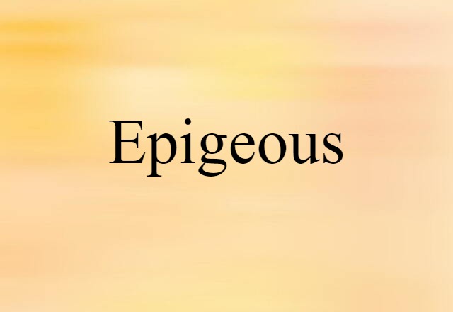 Epigeous (noun) Definition, Meaning & Examples