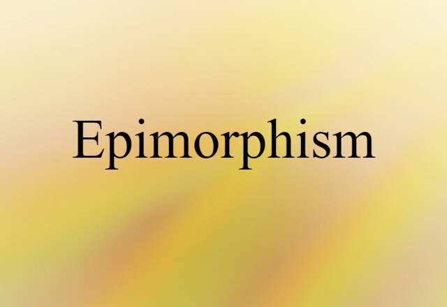 Epimorphism (noun) Definition, Meaning & Examples